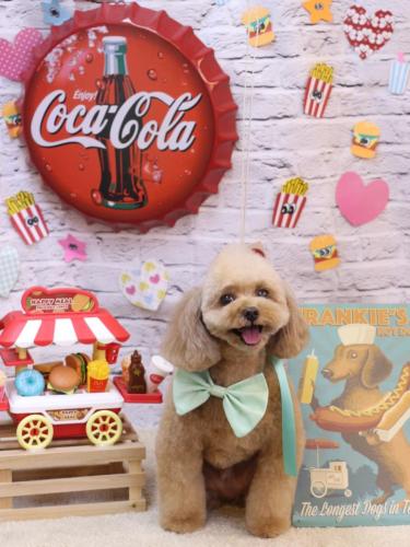 20230915バーディーくん